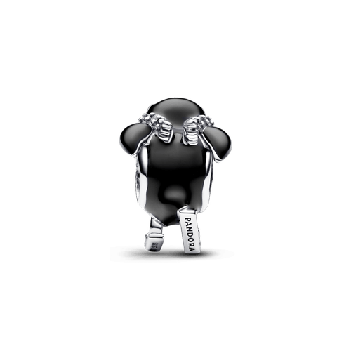 Charm Pingüino Esquiador