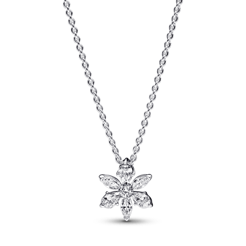 Collar con pendiente Racimo herbario reluciente Pandora Plata Esterlina