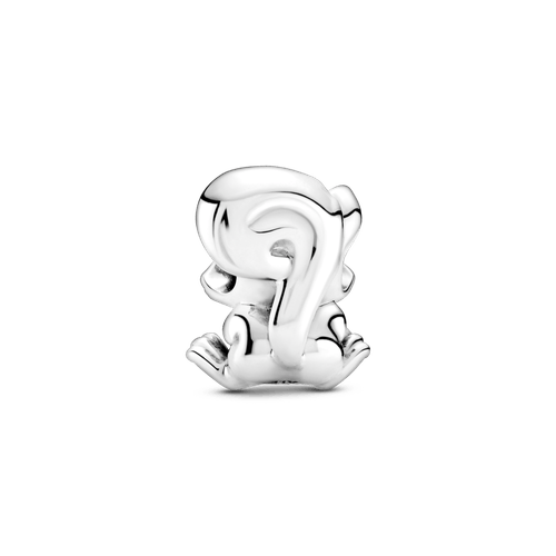 Charm de ardilla linda