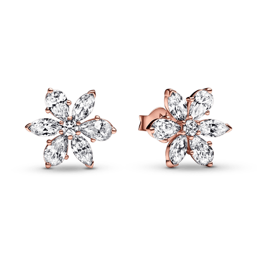Aros de Botón Herbario Brillante Rosa