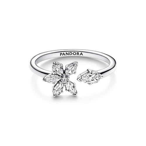 Anillo abierto Herbario Brillante