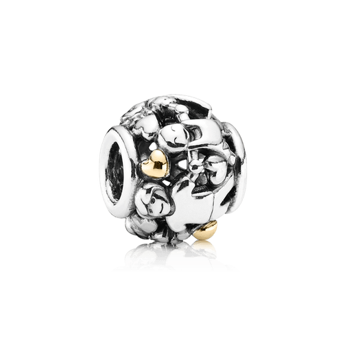 Charm Familia Para Siempre En Dos Tonos
