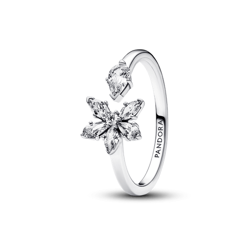 Anillo abierto Herbario Brillante