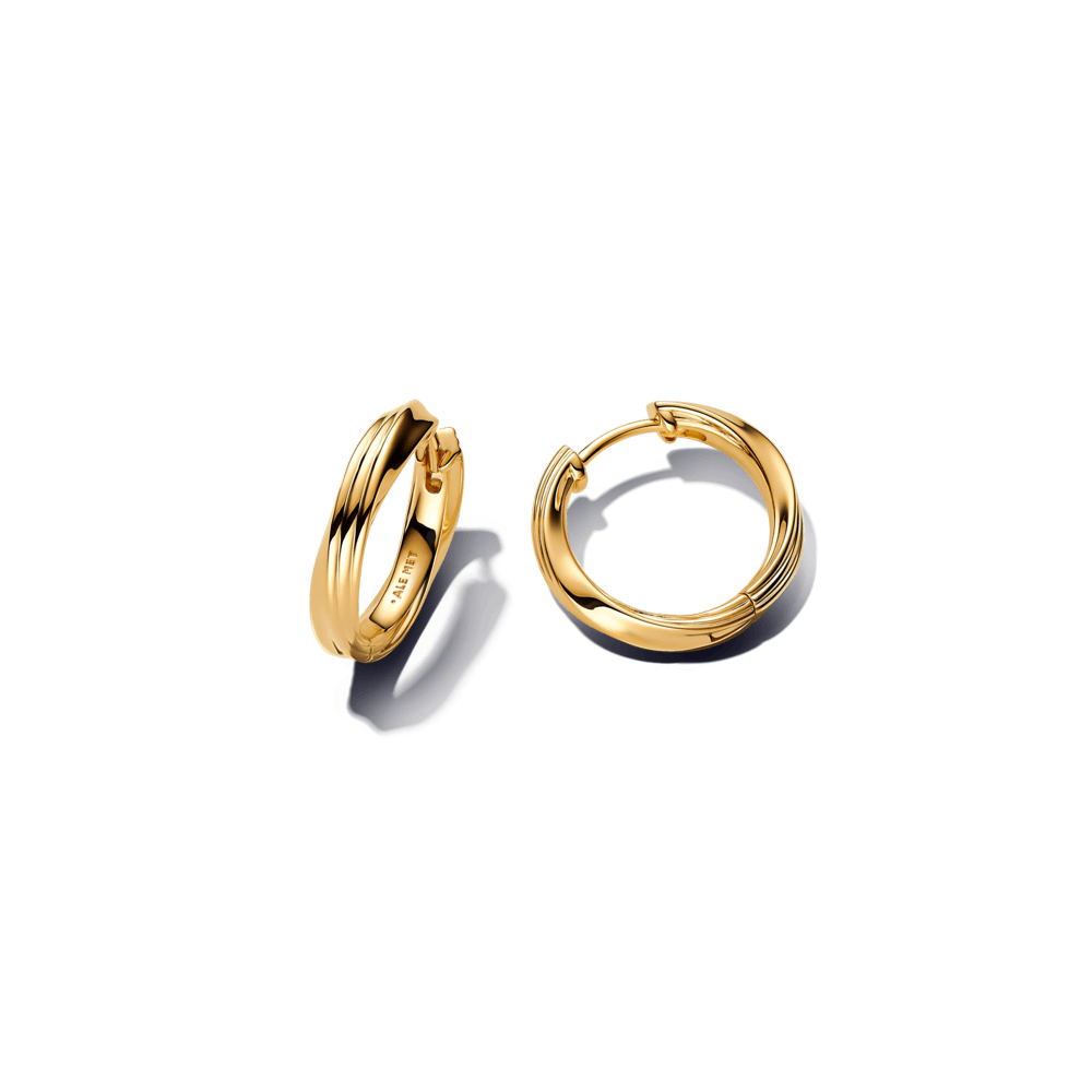 Argollas Entrelazadas|Pandora Pandora Oficial Argentina